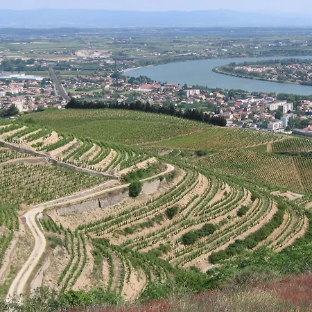 Ibis Styles Romans-valence Gare Tgv 3*